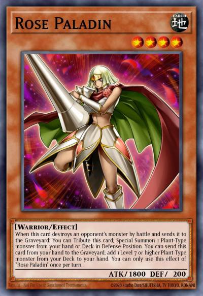 Rose Paladin Common LDS2-EN106 Legendary Duelists Season 2 Yugioh card