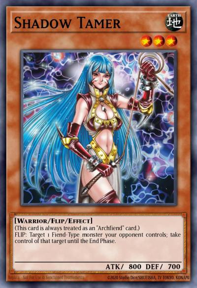 Shadow Tamer Common DB2-EN144 Dark Beginning 2 Yugioh card
