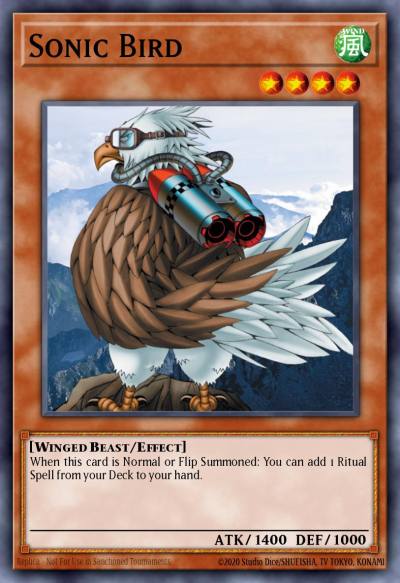 Sonic Bird Common DB1-EN056 Dark Beginning 1 Yugioh card