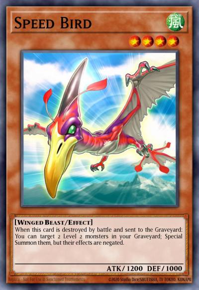 Speed Bird Common YS11-EN008 Starter Deck Dawn of the Xyz Yugioh card