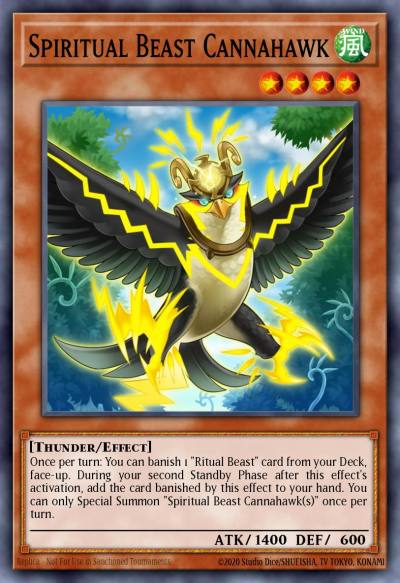 Spiritual Beast Cannahawk Super Rare THSF-EN027 The Secret Forces Yugioh card