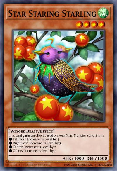 Star Staring Starling Rare DANE-EN024 Dark Neostorm Yugioh card