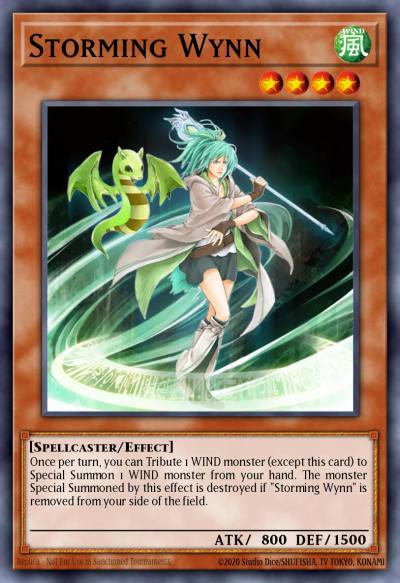Storming Wynn Common DR04-EN209 Dark Revelation Volume 4 Yugioh card