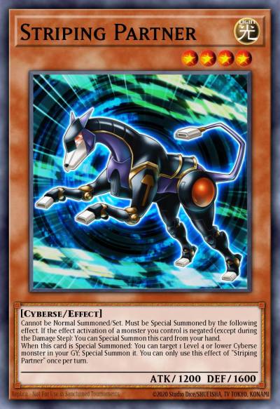Striping Partner Common MP18-EN171 2018 Mega-Tin Mega Pack Yugioh card