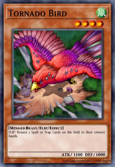 Tornado Bird Common DB2-EN009 Dark Beginning 2 Yugioh card