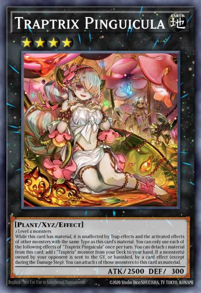 Traptrix Pinguicula Ultra Rare SDBT-EN042 Structure Deck Beware of Traptrix Yugioh card