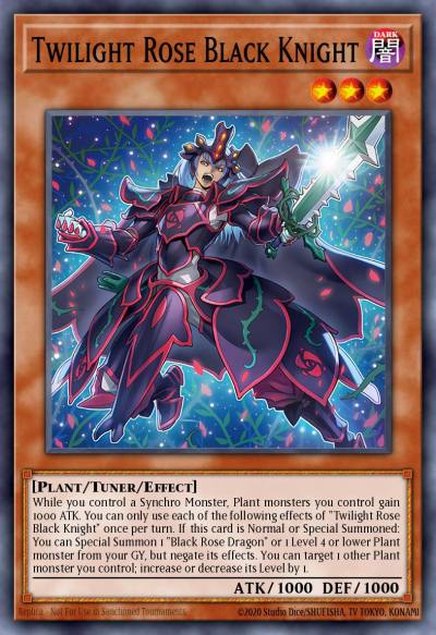 Twilight Rose Black Knight Common DOOD-EN005 Doom of Dimensions Yugioh card