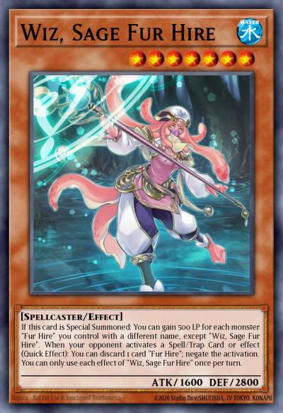 Wiz Sage Fur Hire Common MP19-EN252 2019 Gold Sarcophagus Tin Mega Pack Yugioh card