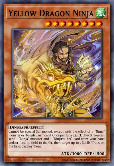 Yellow Dragon Ninja Secret Rare SHVA-EN013 Shadows in Valhalla Yugioh card